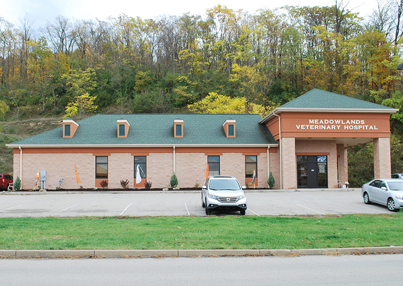 Carousel Slide 3: Meadowlands Veterinary Hospital, Washington